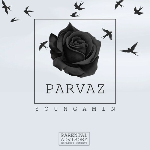YoungAmin-Parvaz