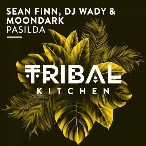 Sean Finn, DJ Wady, MoonDark-Pasilda (Radio Edit)