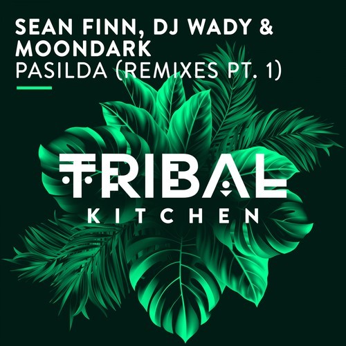 Sean Finn, DJ Wady, MoonDark-Pasilda (Remixes Pt. 1)