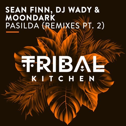 Sean Finn, DJ Wady, MoonDark, Luca Debonaire-Pasilda (Remixes Pt. 2) [Radio Edits]