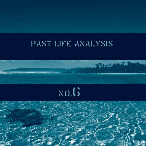 Various Artists-Past Life Analysis 6
