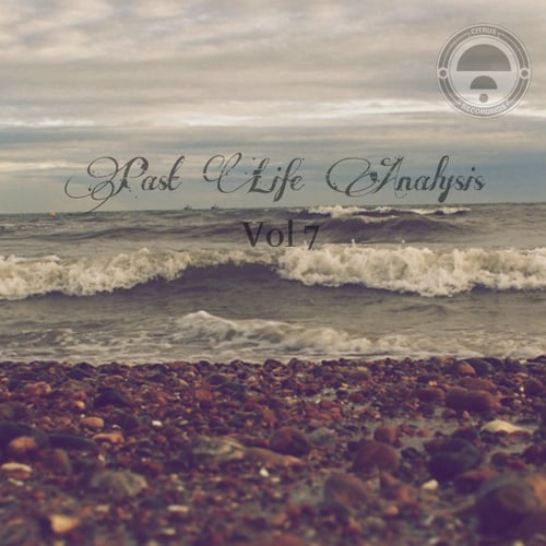 Various Artists-Past Life Analysis 7