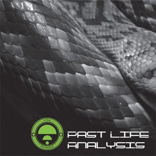 Various Artists-Past Life Analysis