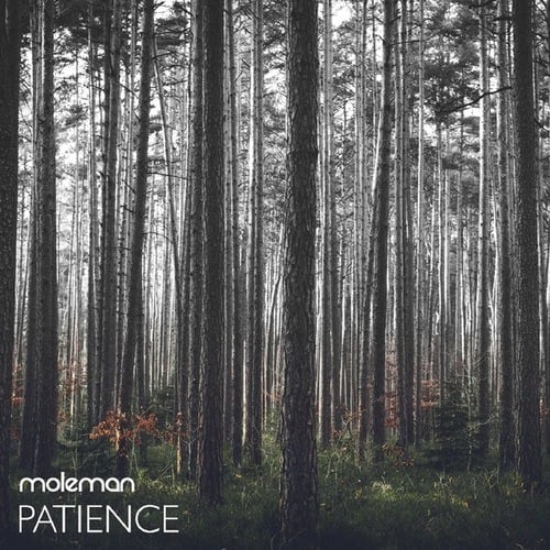 Moleman-Patience