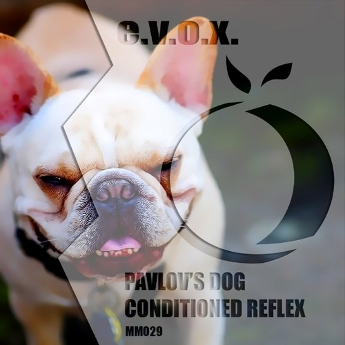 E.V.O.X-Pavlov's Dog / Conditioned Reflex