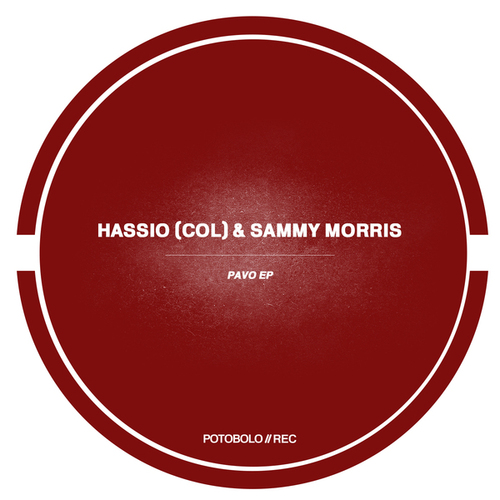 Sammy Morris, Hassio (COL)-Pavo EP