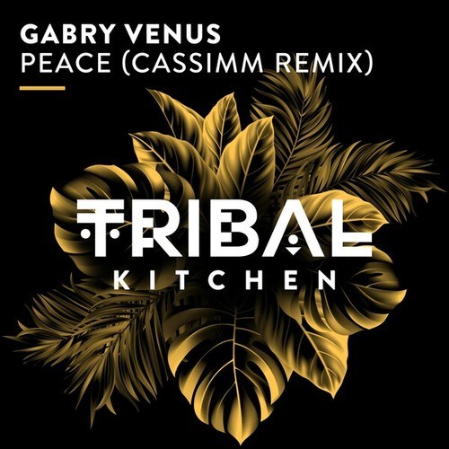 Gabry Venus, Cassimm-Peace (CASSIMM Remix)