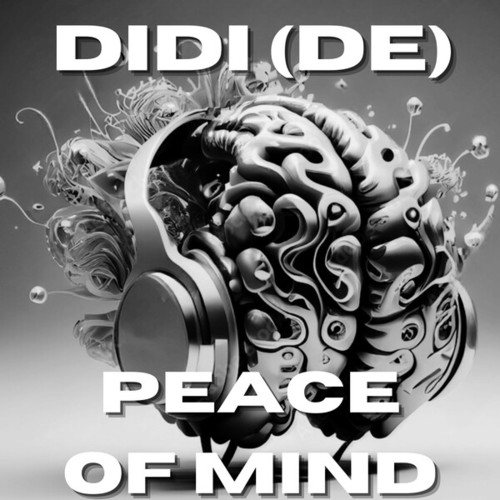 Didi (De)-Peace of Mind