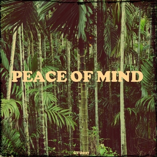 Various Artists-Peace of Mind