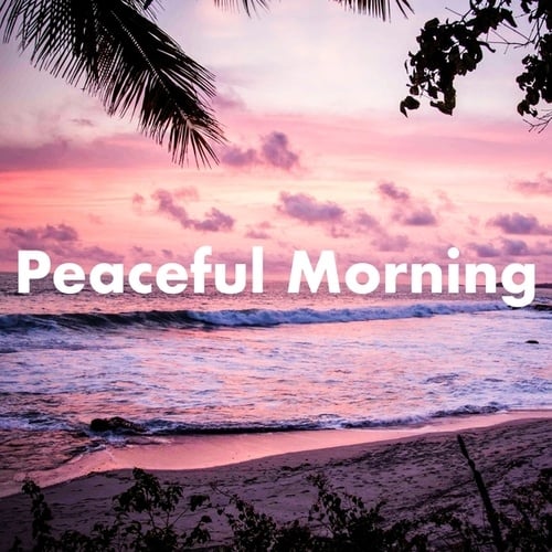 Various Artists-Peaceful Morning