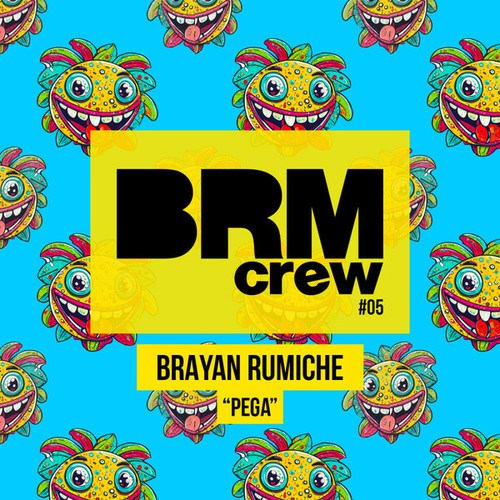 Brayan Rumiche-Pega