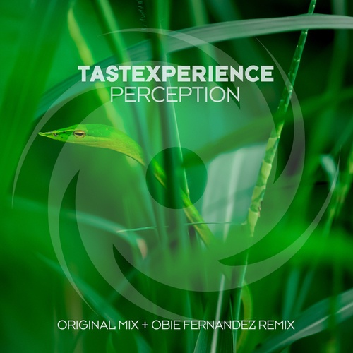 Tastexperience, Obie Fernandez-Perception