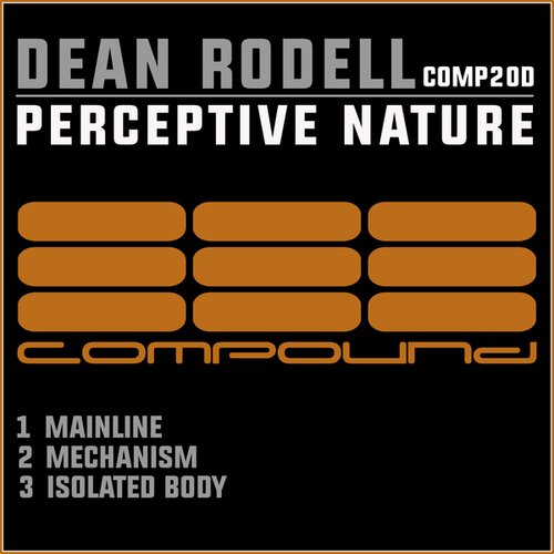 Dean Rodell-Perceptive Nature