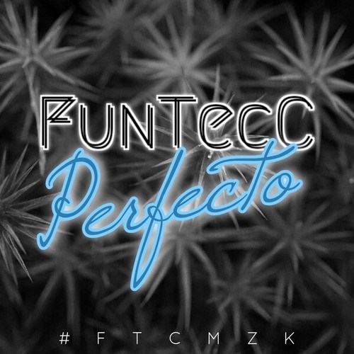 FunTecC-Perfecto