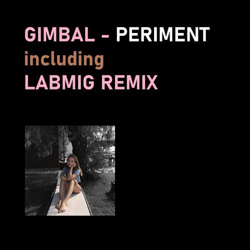 Gimbal, Labmig-Periment