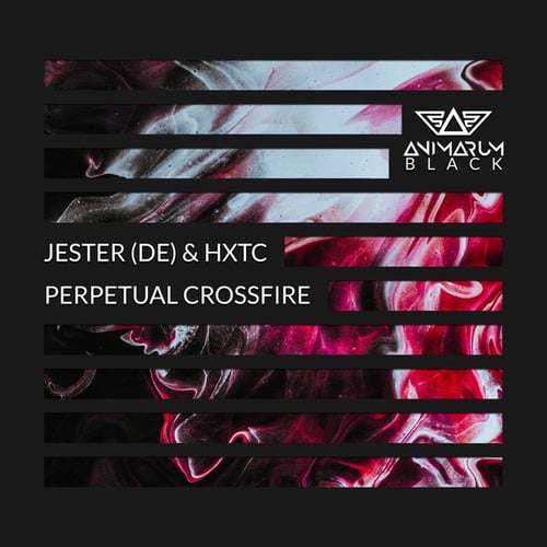 HXTC, Jester (DE)-Perpetual Crossfire