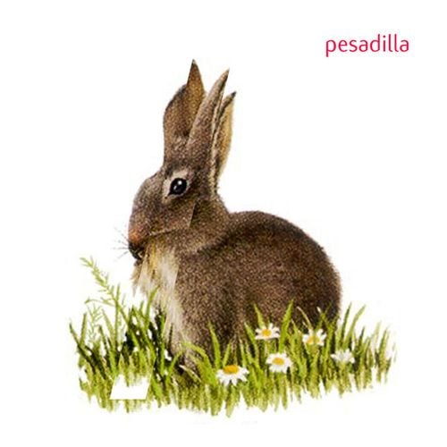 Pesadilla