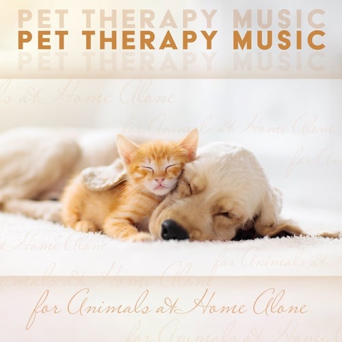 Pet Therapy Music for Animals at Home Alone