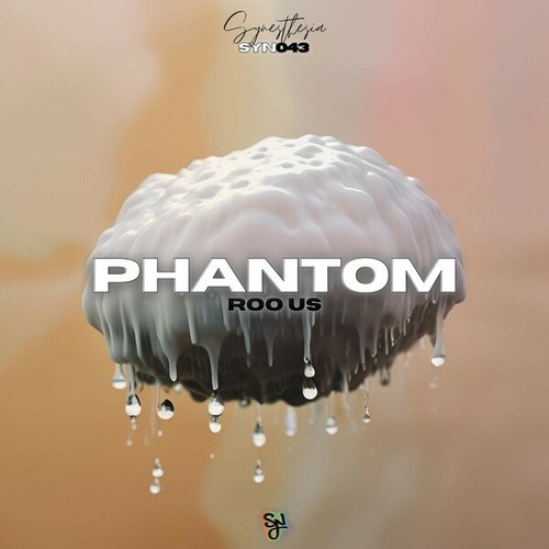 Roo US-Phantom