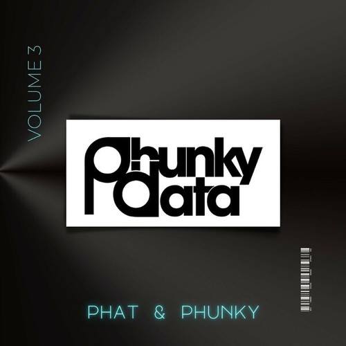 The Stoned, MC Potty Mouth, Sean Biddle, Charlie Hustle, El Seano, YoDisco82!, Tone Abstract, Felipe Avelar, Disco Ball'z, TMX, Charles Feelgood, CRS, Squirt D, Dafunkeetomato-Phat & Phunky, Vol. 3