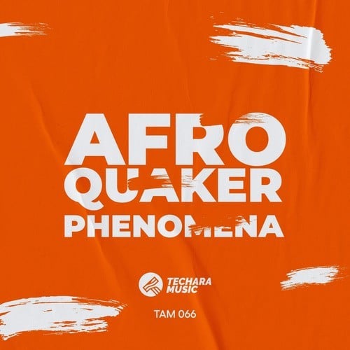 AfroQuakeR-Phenomena