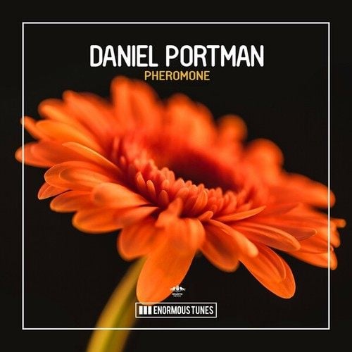 Daniel Portman-Pheromone