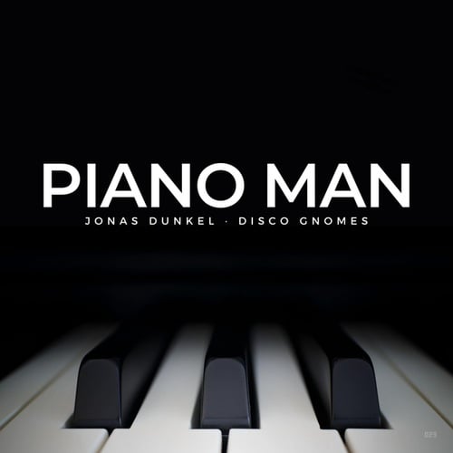Jonas Dunkel, Disco Gnomes-Piano Man