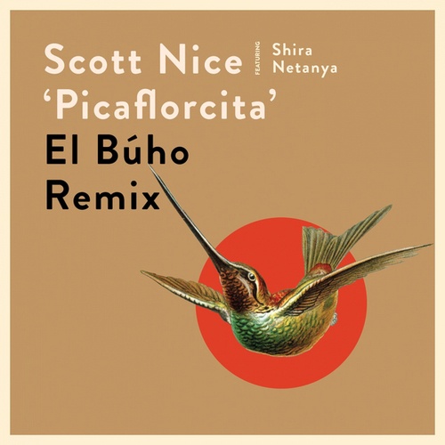 Scott Nice, Shira Netanya, El Búho-Picaflorcita