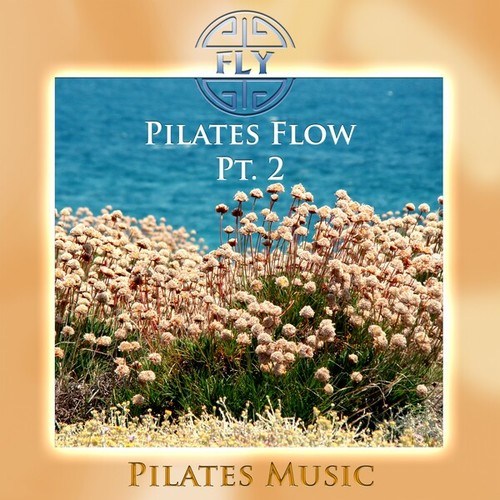 Pilates Flow, Pt. 2 (Pilates Version)