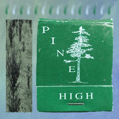 Killd By-pine high