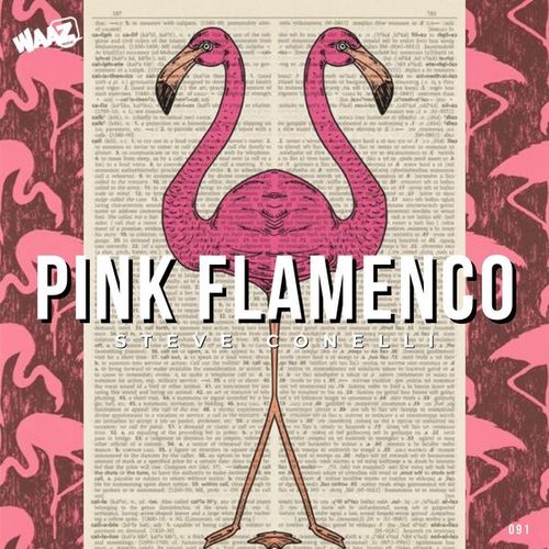 Steve Conelli-Pink Flamenco