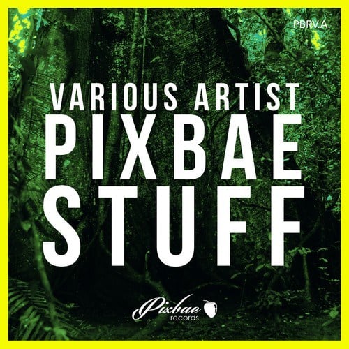 Various Artists-Pixbae Stuff