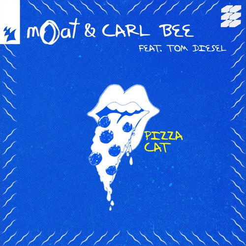 Pizza Cat