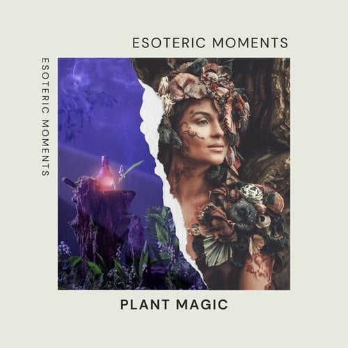 Plant Magic