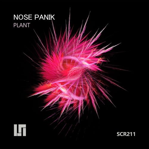 Nose Panik-Plant