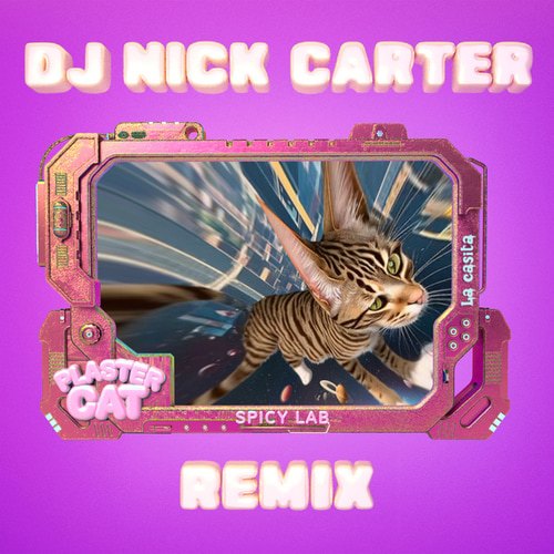 Plaster Cat (DJ NICK CARTER Remix)