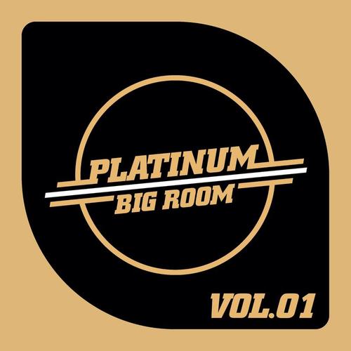 Various Artists-Platinum - Big Room, Vol. 1