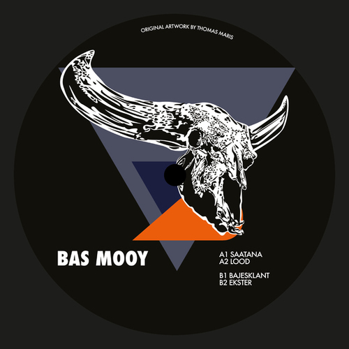 Bas Mooy-Pleistocene Future 2