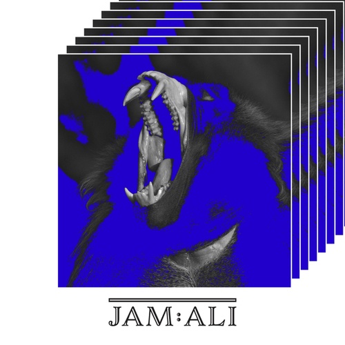 Jam : Ali-Plentiful