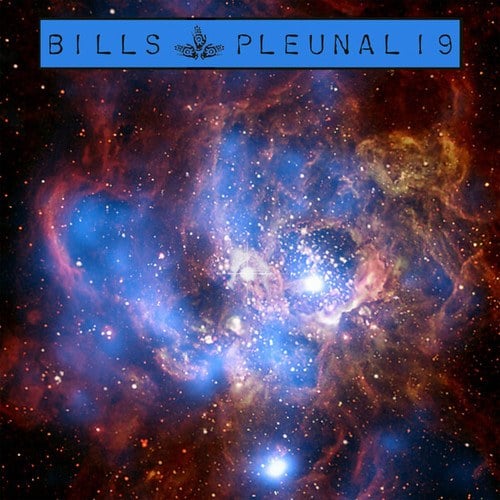 Bills-Pleunal 19