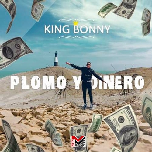 King Bonny-Plomo y Dinero