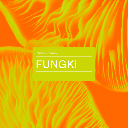 FUNGKi-Pluteus