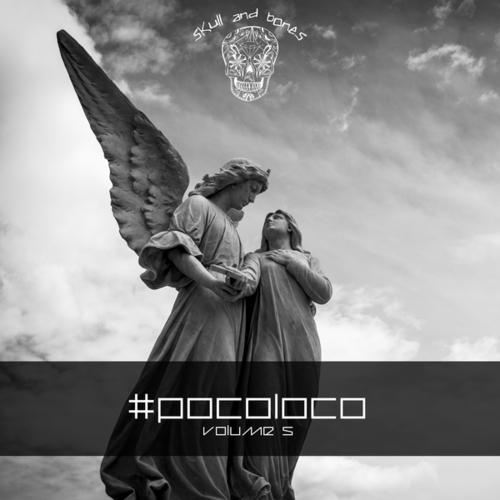 Various Artists-PocoLoco, Vol. 5