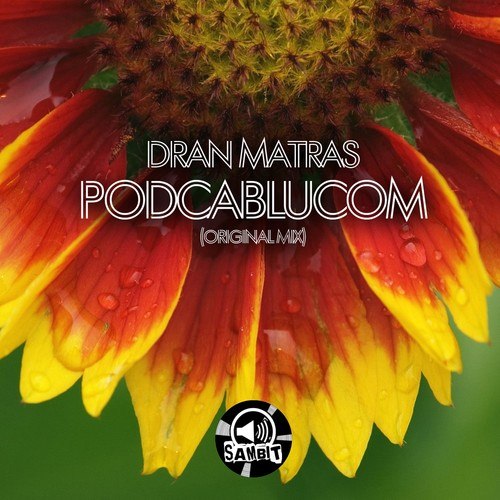 Dran Matras-Podcablucom