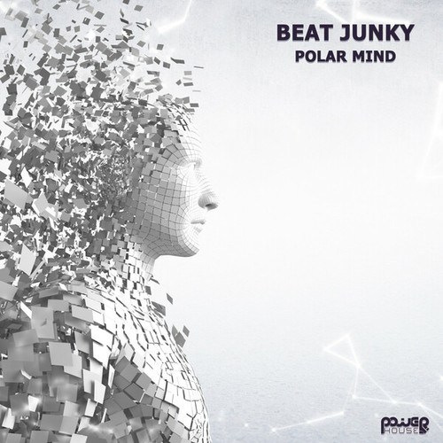 Beat Junky-Polar Mind