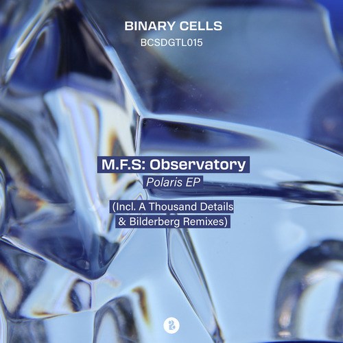 M.F.S: Observatory, A Thousand Details, Bilderberg-Polaris