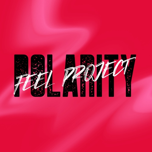 Feel Project-Polarity