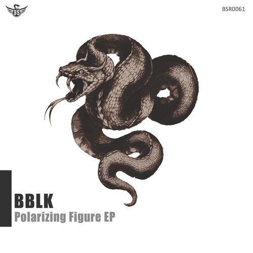 BBLK-Polarizing Figure EP