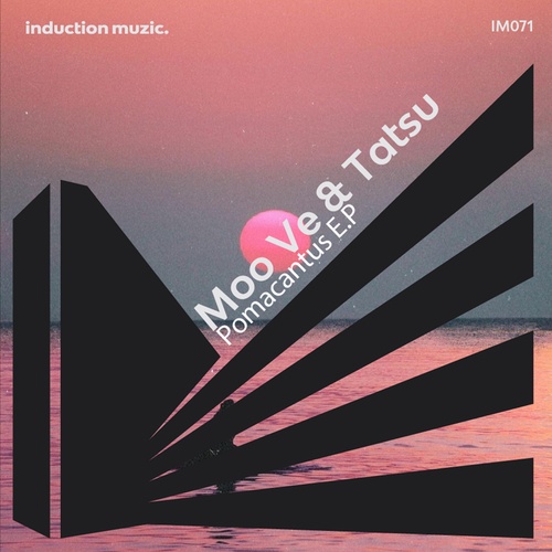 Moo Ve, Tatsu-Pomacantus EP