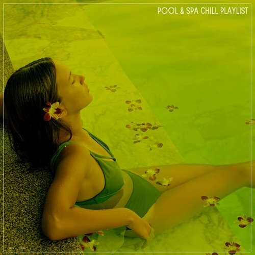 Various Artists-Pool & Spa Chill Playlist